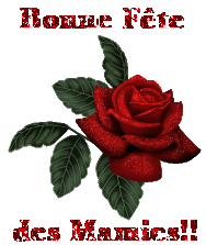magnifique rose pour bonne fete mamie